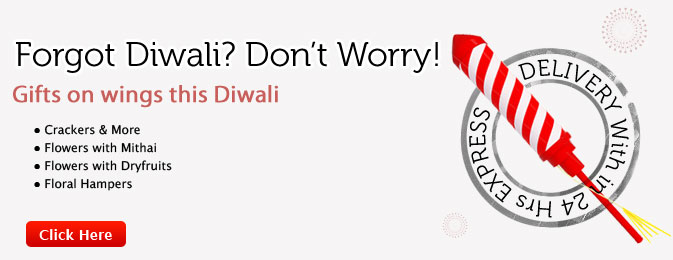 Diwali Express 2011