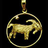 Capricorn Pendant