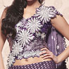 Fascinating Sharara Style Saree