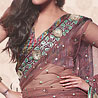 Delightful Heavy Net Saree