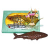 Fish Shaped Chocolates
