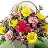 Basket Of Cheer