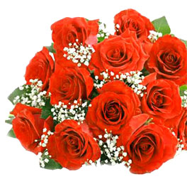Dozen Red Roses