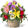 Life Is Beautiful