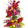 Flowers N Fruits