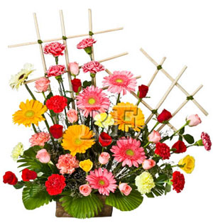 Field of Flowers