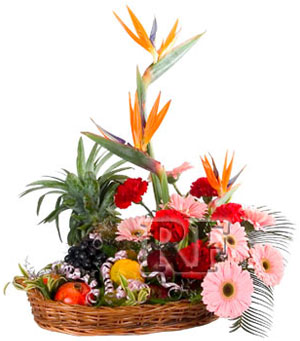 Happy Day