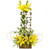 Cheerful Greetings