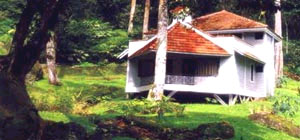 The Carlton - Kodaikanal