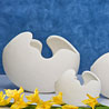 Egg Shells