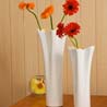 Rimmed Vase