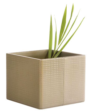 Zara Shampoo/ Hand Towels/ Plant holder