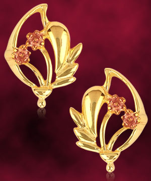 22K Gold Studs