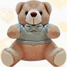 Tedy Bear with Blue Jacket