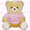 Teddy Bear for Your Sweertheart