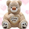 Cute Huggable Teddy