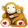 Mother's Day Teddy Bear Combo