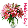 Charming Lilies