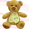 Adorable Brown Teddy
