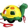 Twirly Whirly Turtle