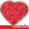 100 Roses Heart