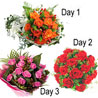 Gift 3 Days- Shower Ur Love on Valentines Day 