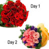 2 Days- Magnificent Celebration