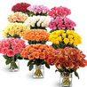 Entire Roses of the Garden