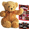 Brown Bear with Card and Chocolates