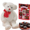 Big White Teddy with Chocolates