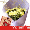 Carnations Carnival