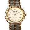 Gold N Silver Watch